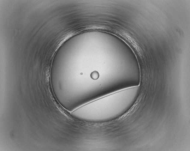 X0000116151377200912071254