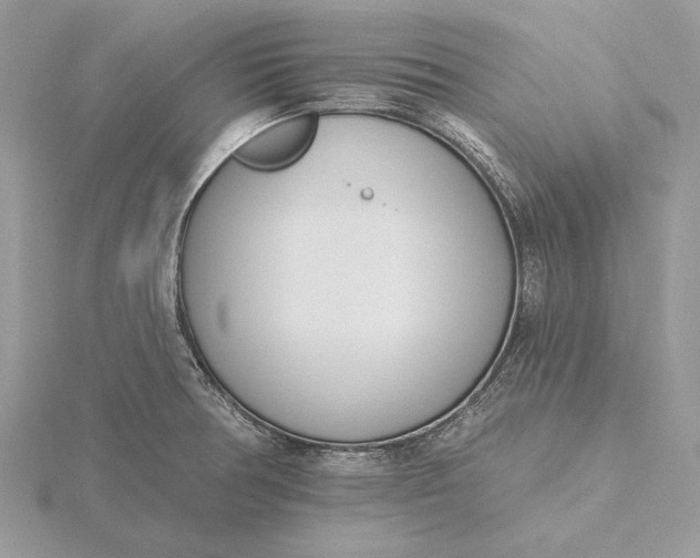 X0000116151378200912071254