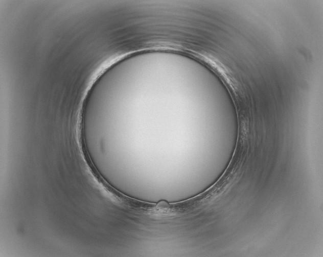 X0000116151379200912071254