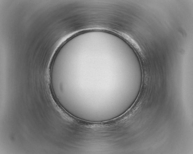 X0000116151380200912071254