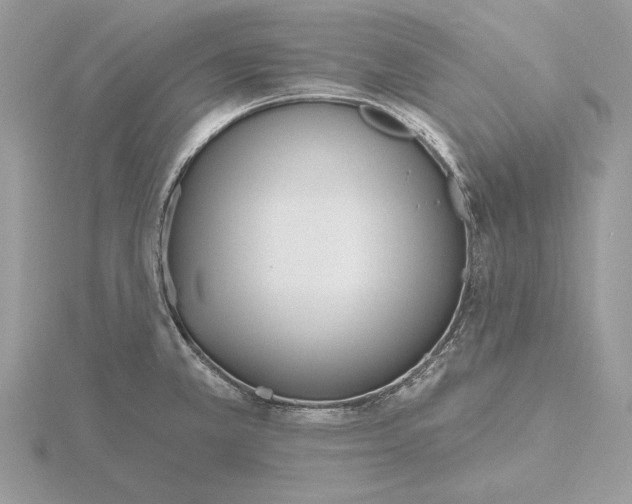 X0000116151381200912071254