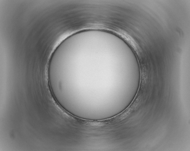 X0000116151382200912071254