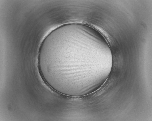 X0000116151383200912071254