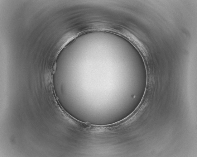 X0000116151385200912071254