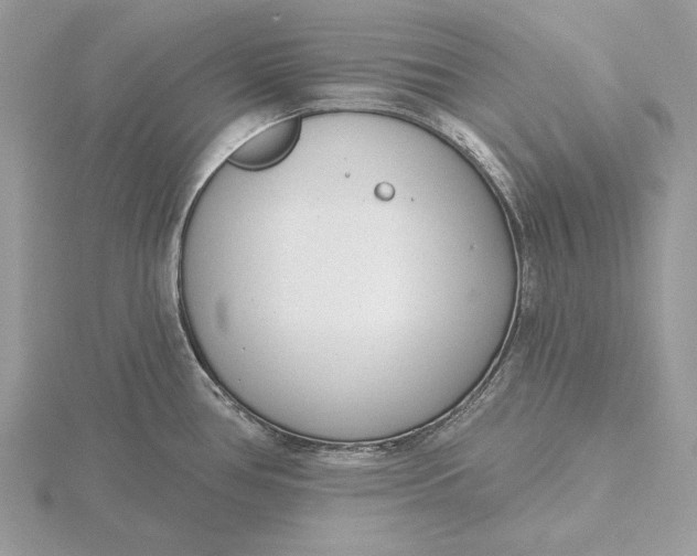 X0000116151386200912071254