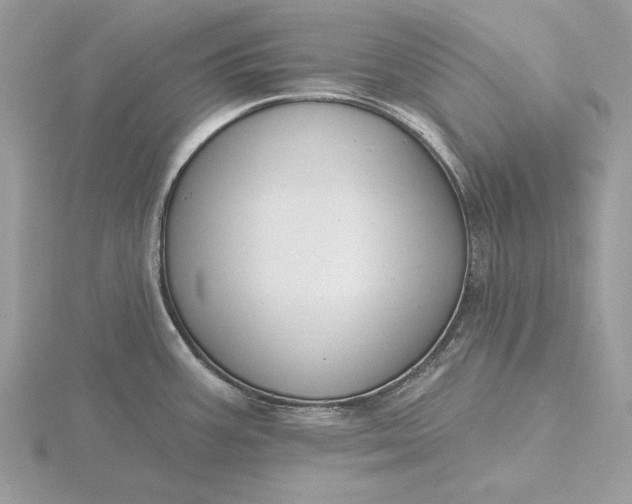 X0000116151387200912071254