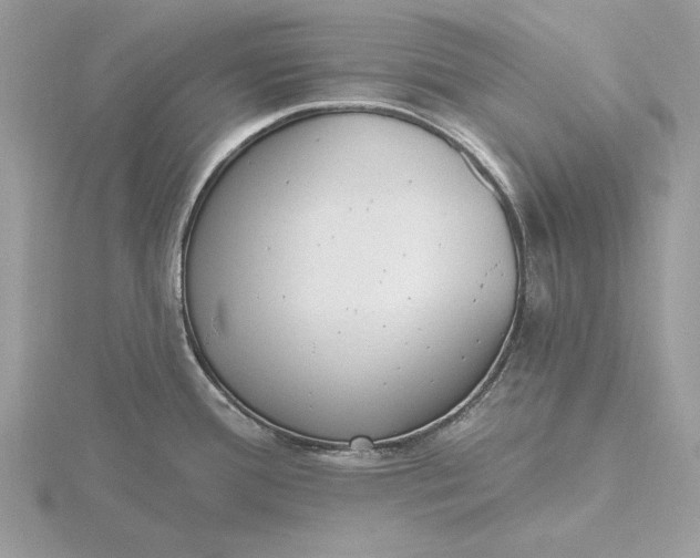 X0000116151388200912071254