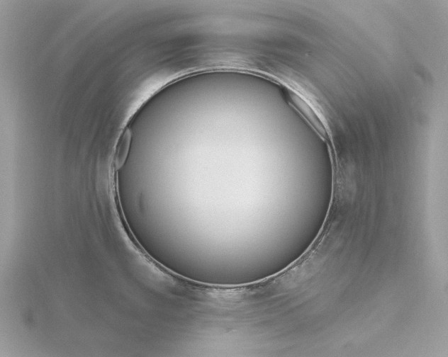 X0000116151389200912071254