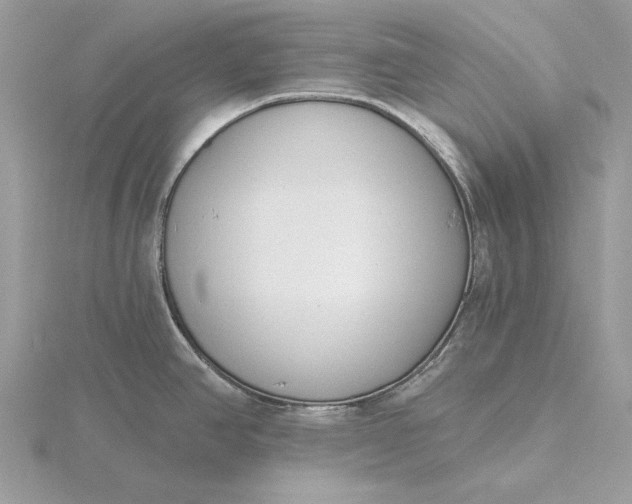 X0000116151390200912071254