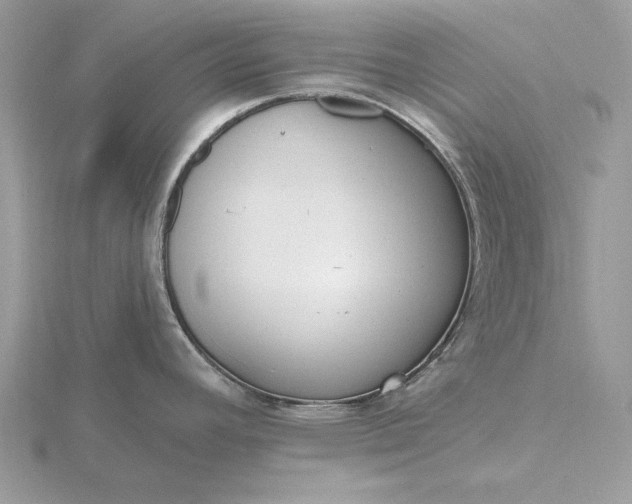 X0000116151392200912071254