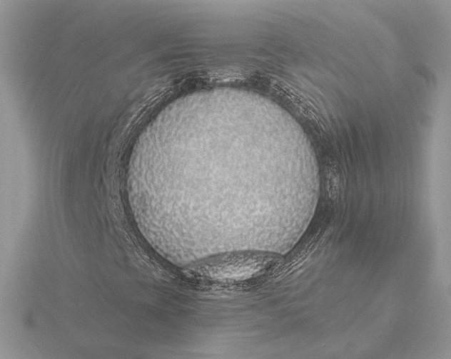 X0000116151393200912071254