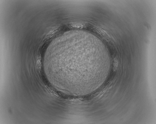 X0000116151394200912071254