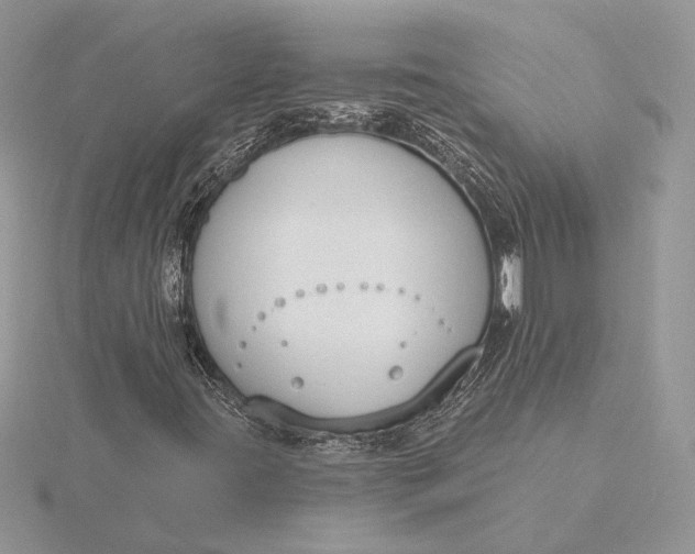 X0000116151395200912071254