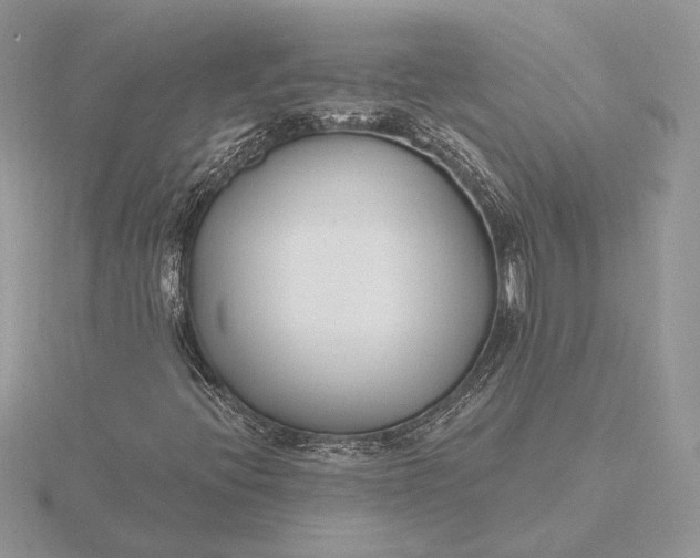 X0000116151396200912071254