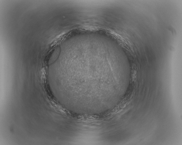 X0000116151397200912071254