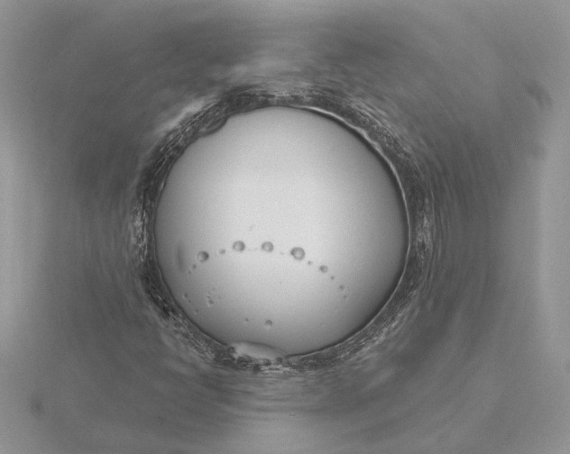 X0000116151398200912071254