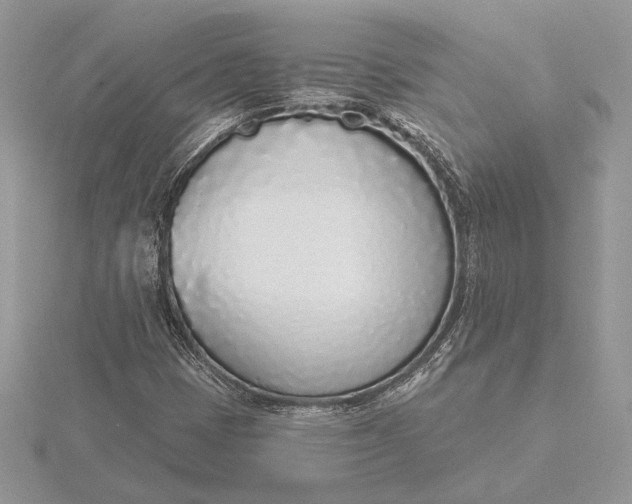 X0000116151401200912071254