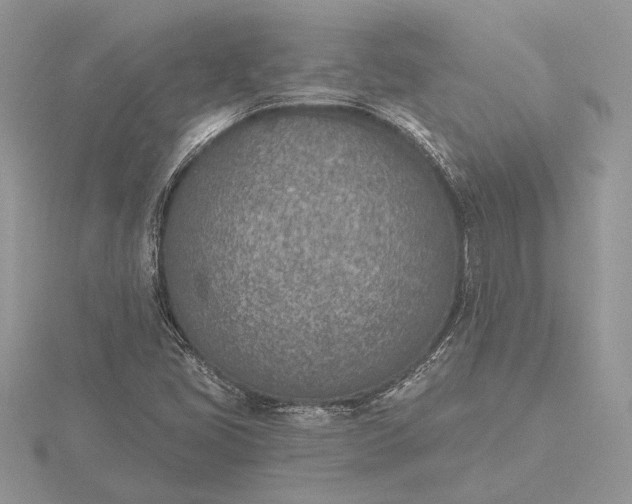 X0000116151405200912071254