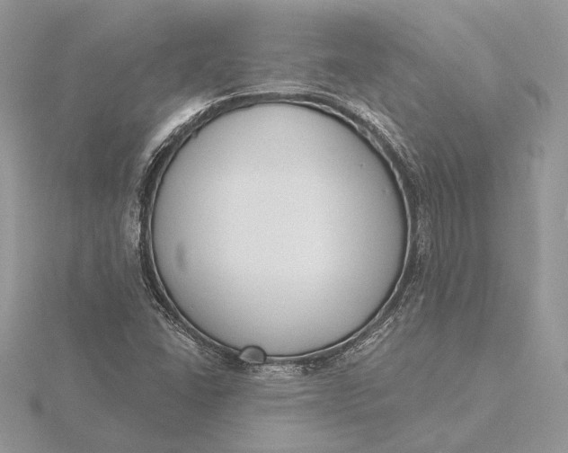 X0000116151406200912071254