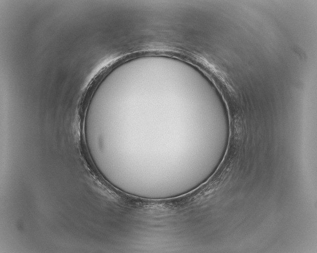 X0000116151408200912071254