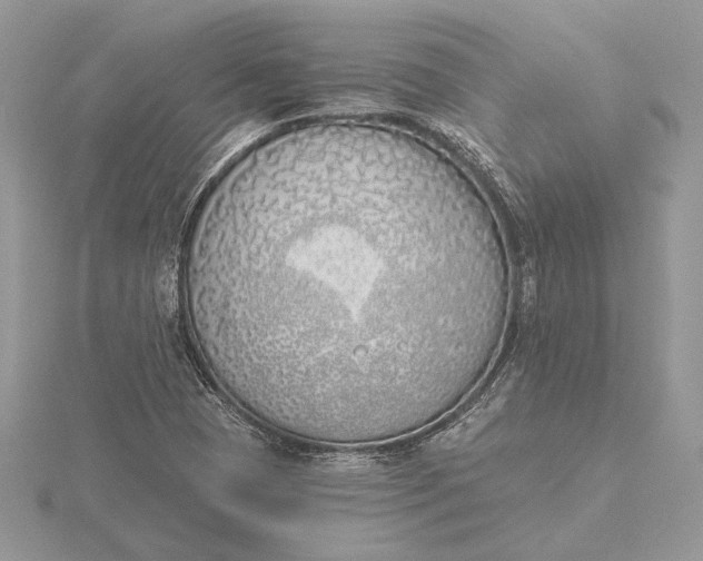 X0000116151409200912071254