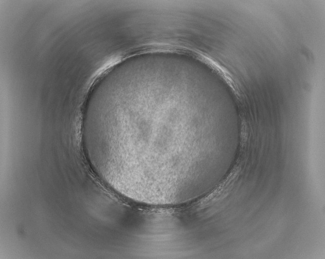 X0000116151411200912071254