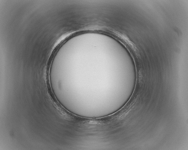 X0000116151412200912071254