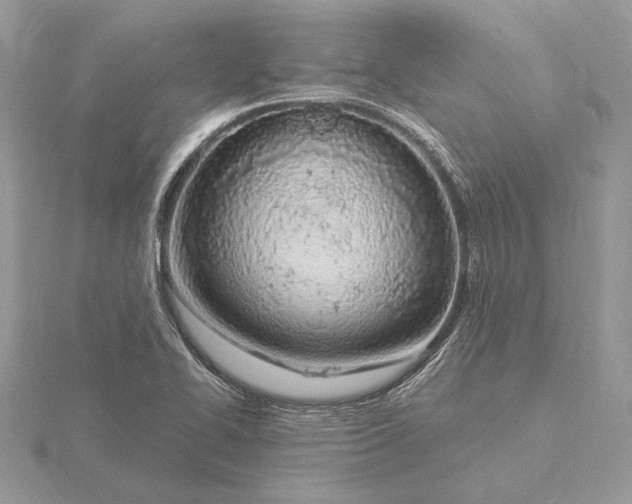 X0000116151414200912071254