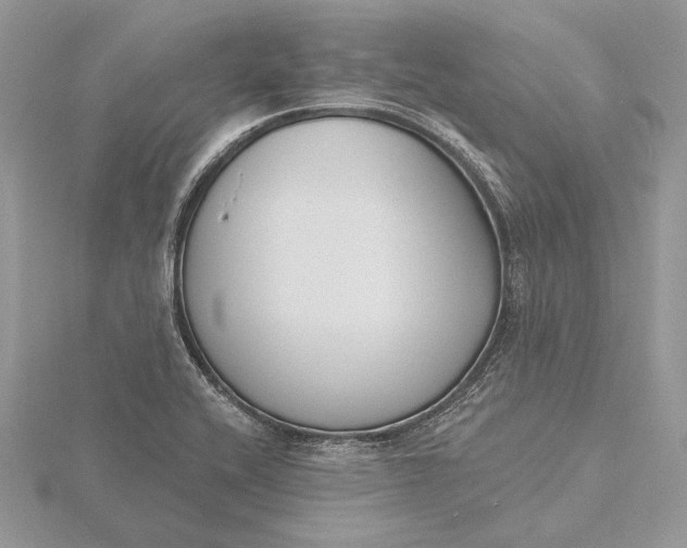 X0000116151416200912071254