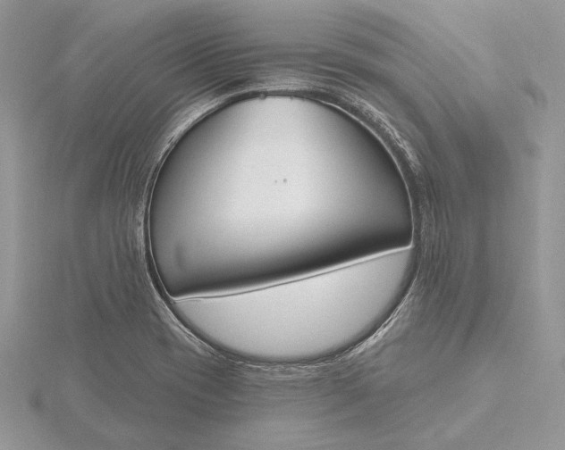 X0000116151417200912071254