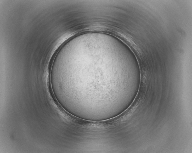 X0000116151418200912071254