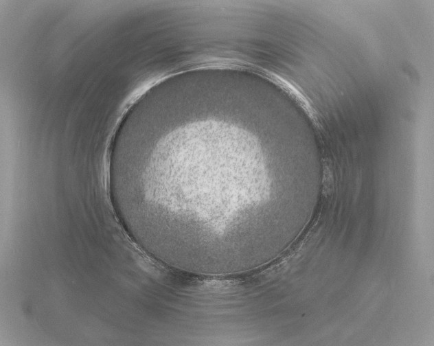 X0000116151419200912071254