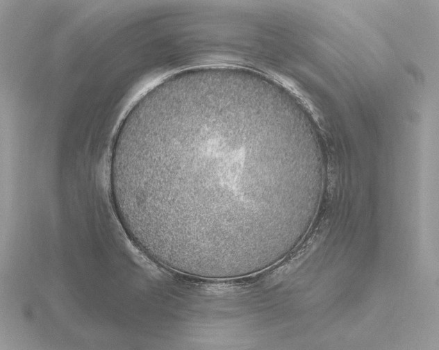 X0000116151421200912071254