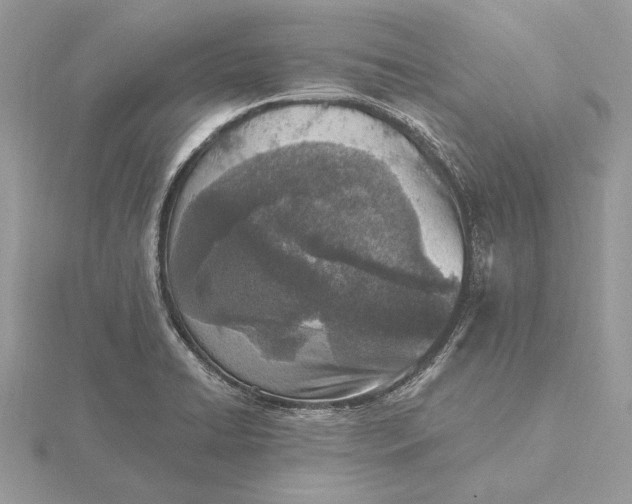 X0000116151422200912071254