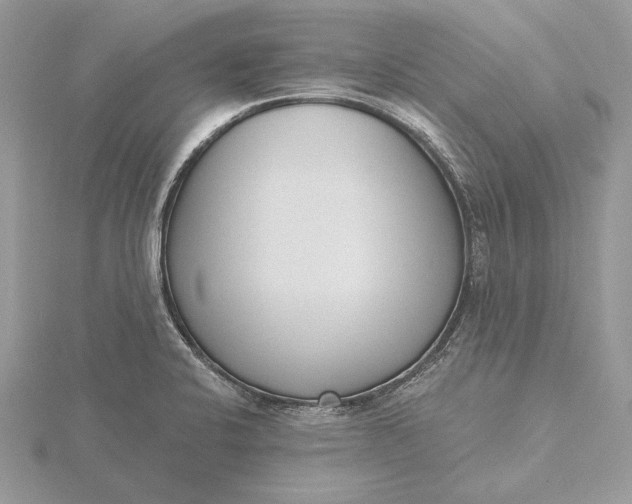 X0000116151424200912071254