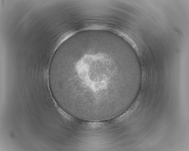 X0000116151425200912071254