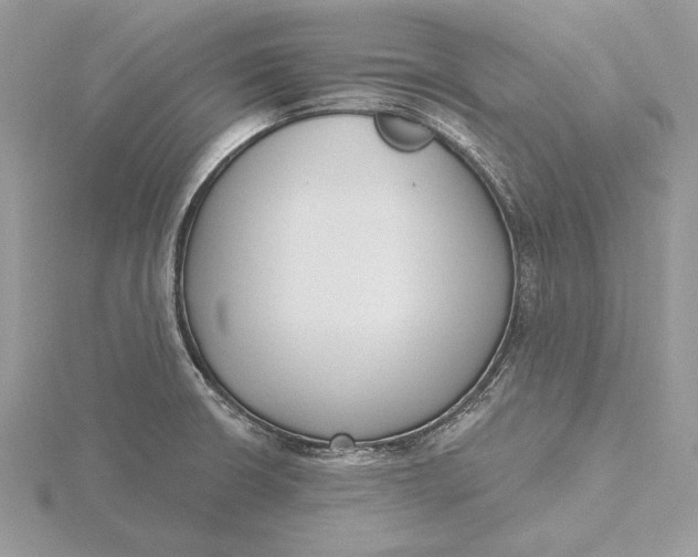 X0000116151426200912071254