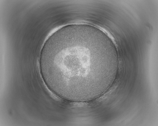 X0000116151429200912071254