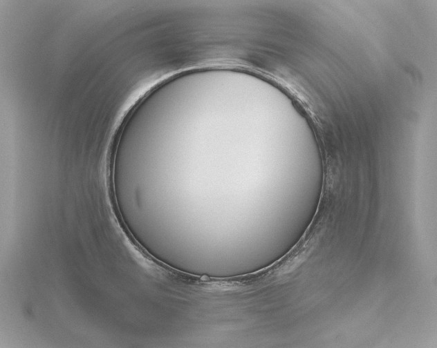 X0000116151430200912071254