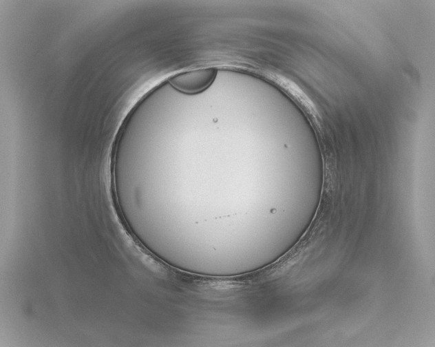 X0000116151431200912071254