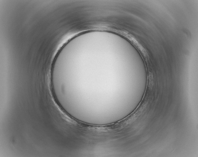 X0000116151432200912071254