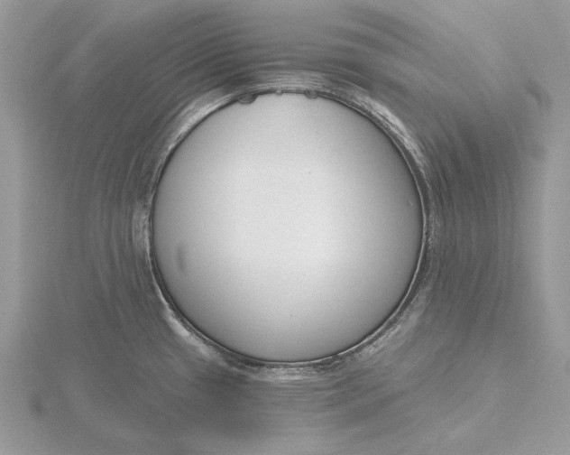 X0000116151433200912071254