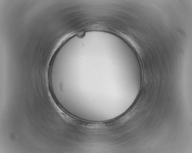 X0000116151434200912071254