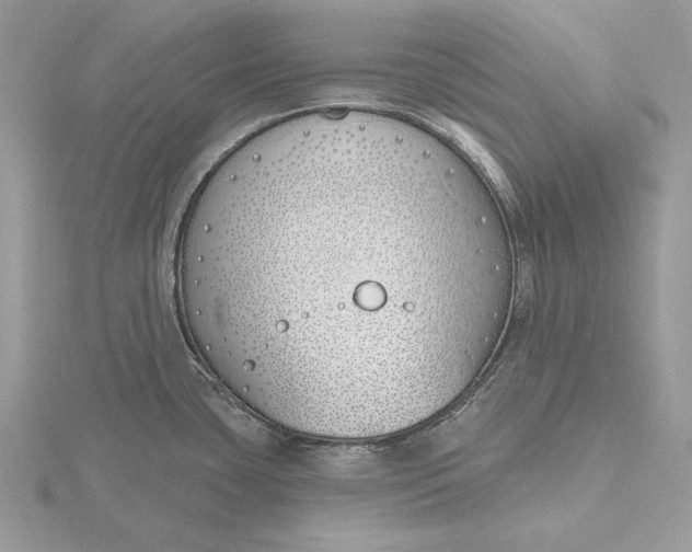 X0000116151435200912071254