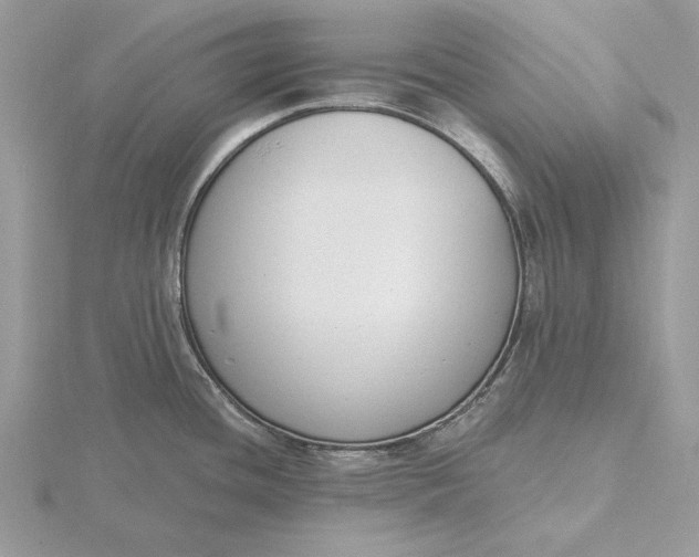 X0000116151436200912071254