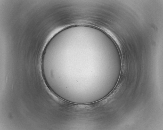 X0000116151437200912071254