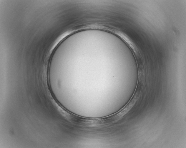 X0000116151438200912071254