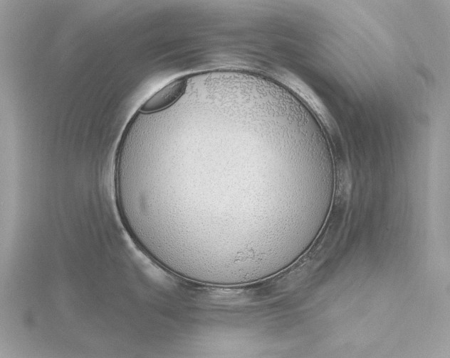 X0000116151439200912071254