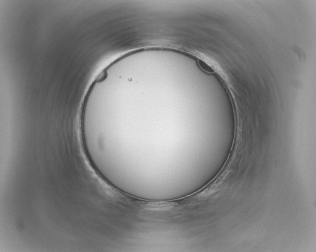 X0000116151440200912071254