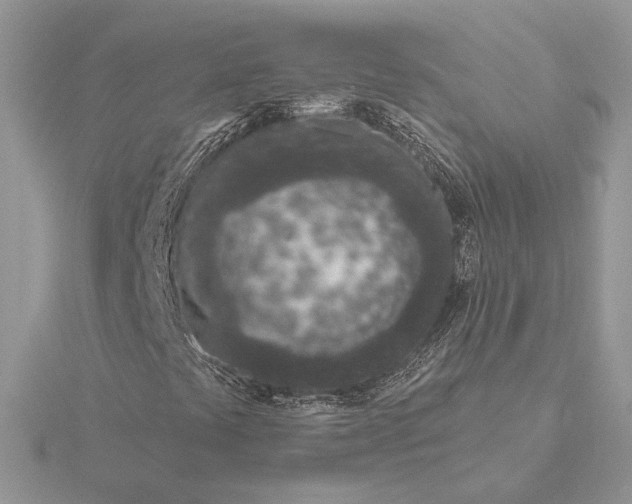 X0000116151441200912071254